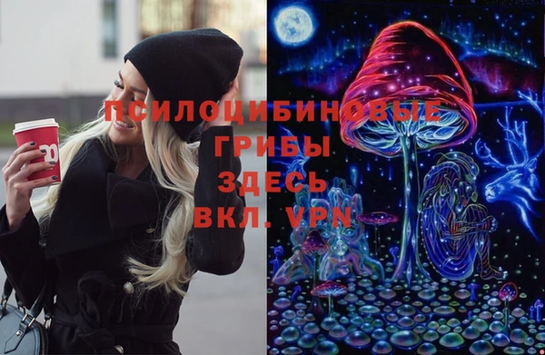 a pvp Аркадак
