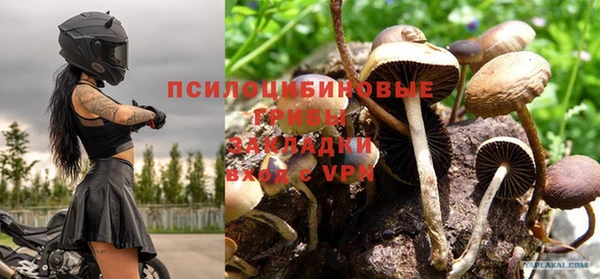 a pvp Аркадак