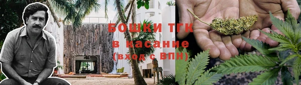 a pvp Аркадак