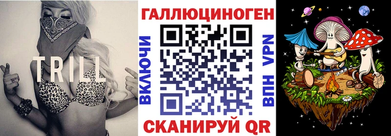 Галлюциногенные грибы GOLDEN TEACHER Новосиль